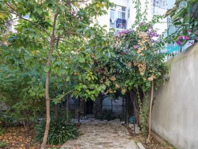�Ho deciso di trasferirmi a Madonnella proprio per questo cortile � ci spiega Francesco �. Sono stato colpito dalla sua rigogliosit� e ho capito subito che avrebbe avuto un grande potenziale, favorendo l�ispirazione della mia arte�